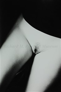 Image description is not available for 2013.046